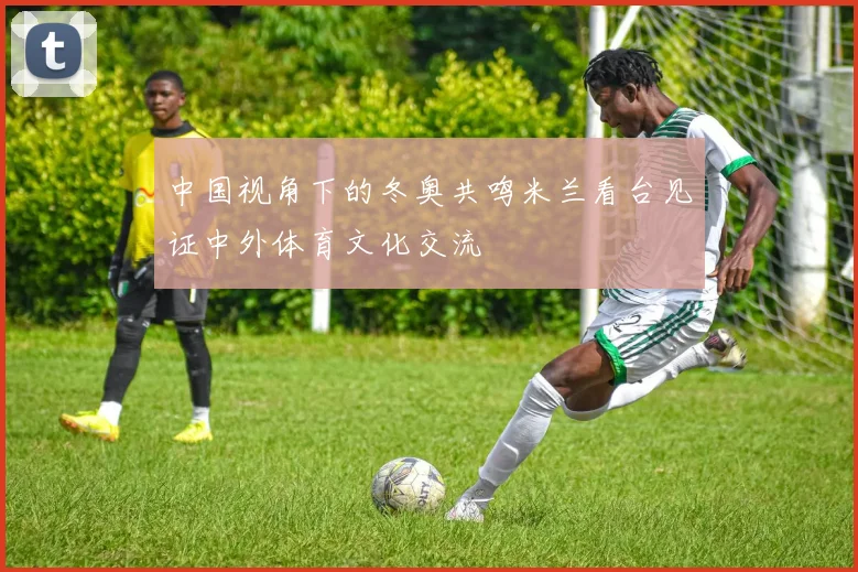 中国视角下的冬奥共鸣米兰看台见证中外体育文化交流